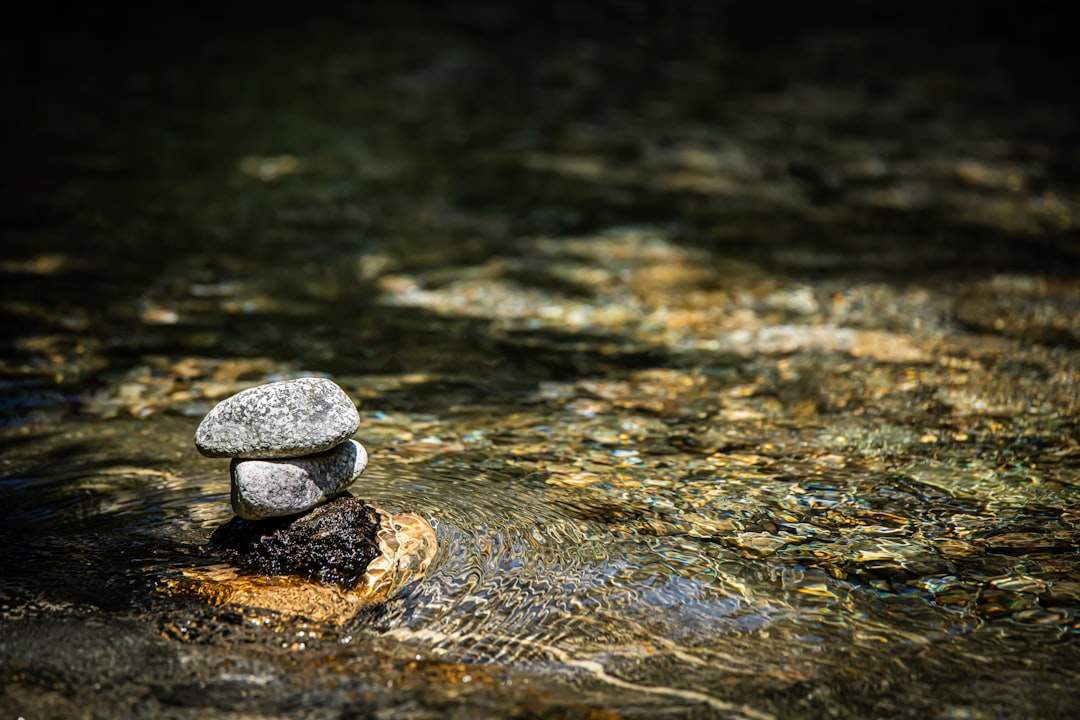 Four pillar numerology